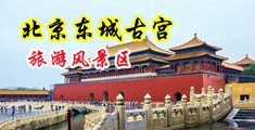 大鸡巴抽插网站视频中国北京-东城古宫旅游风景区